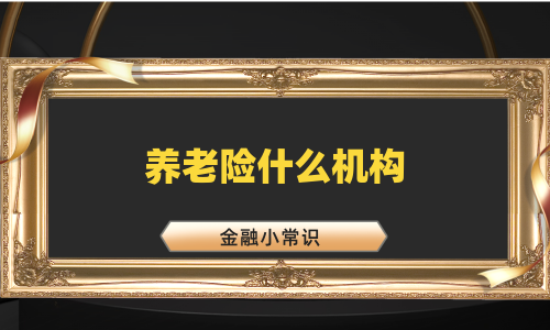 养老险什么机构