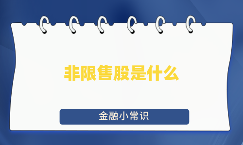 非限售股是什么