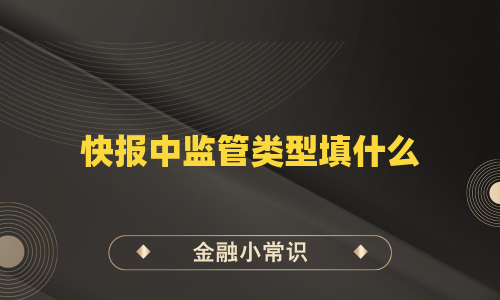 快报中监管类型填什么