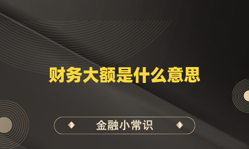 财务大额是什么意思